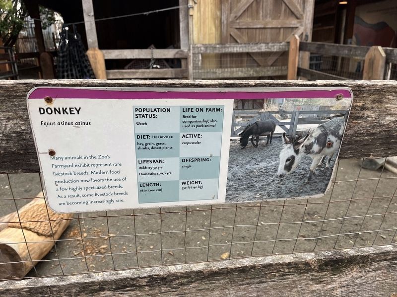 Donkey Marker image. Click for full size.