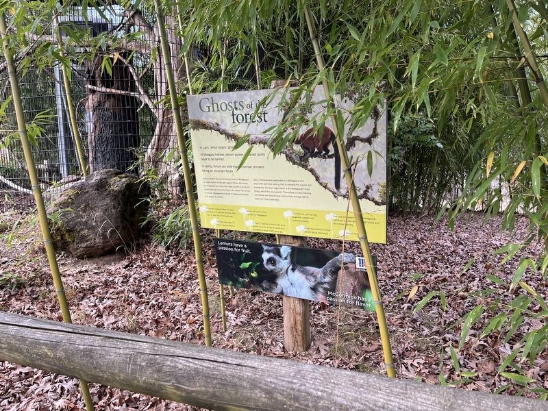 Ghosts of the forest Marker. Click for full size. Ghosts of the forest Marker image. Click for full size.