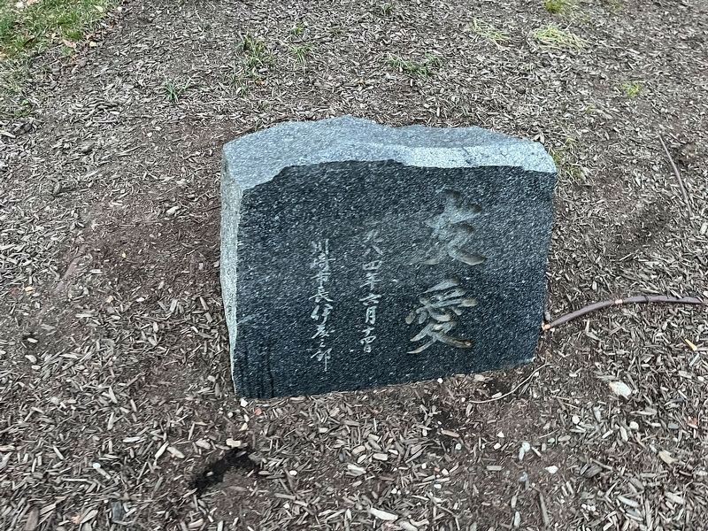 Adjacent plaque image. Click for full size.