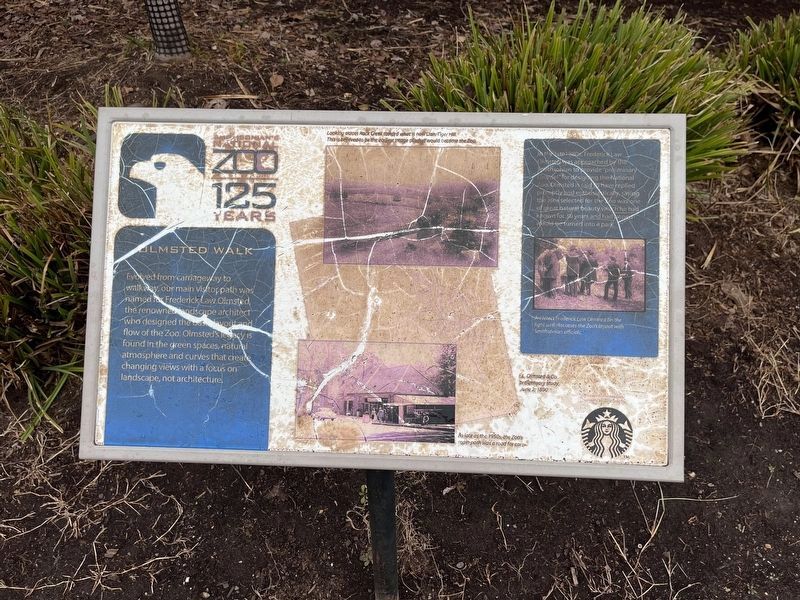 Olmsted Walk Marker image. Click for full size.