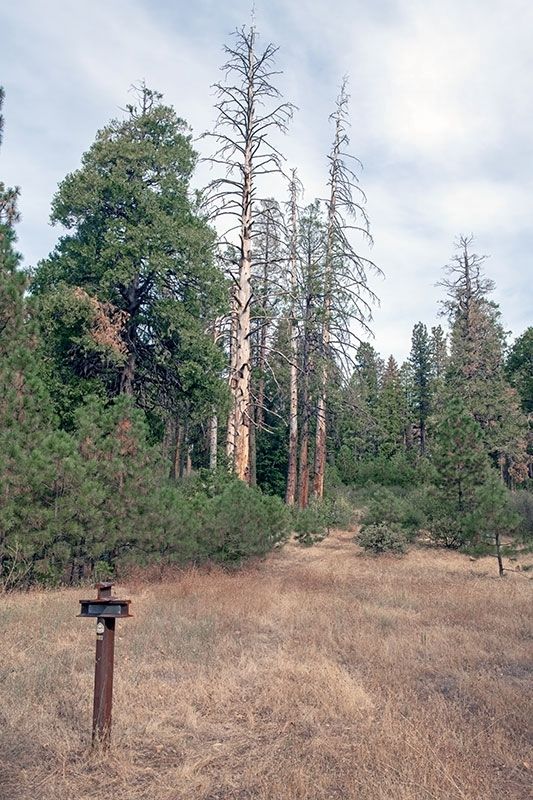 Carson Trail CR-61 and Johnson Cutoff JC-25. Click for full size. Carson Trail CR-61 and Johnson Cutoff JC-25 image. Click for full size.