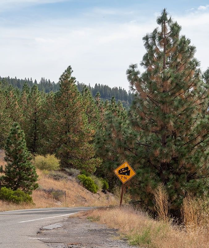 Peavine Ridge Road at the Marker. Click for full size. Peavine Ridge Road at the Marker image. Click for full size.
