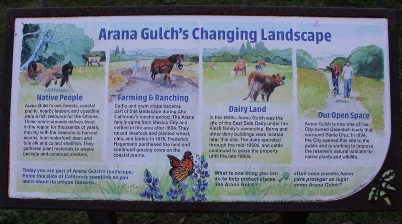 Arana Gulch's Changing Landscape Marker. Click for full size. Arana Gulch's Changing Landscape Marker image. Click for full size.