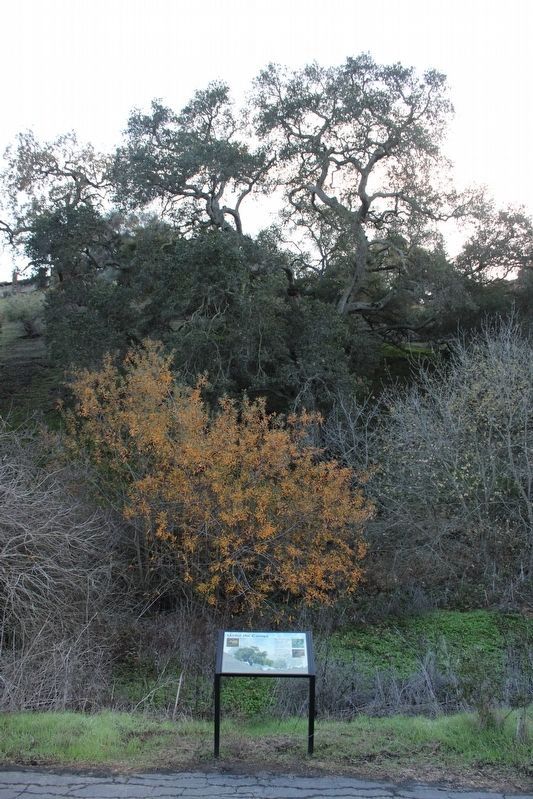 Marker and Landmark Tree. Click for full size. Marker and Landmark Tree image. Click for full size.