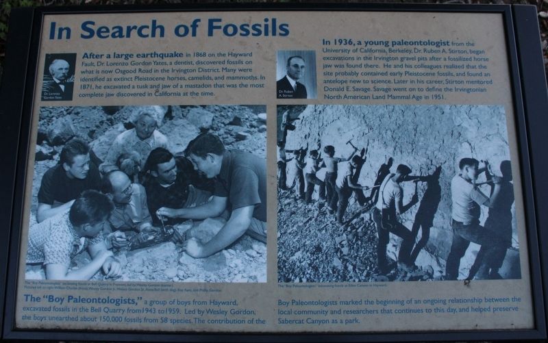 In Search of Fossils Marker image. Click for full size.