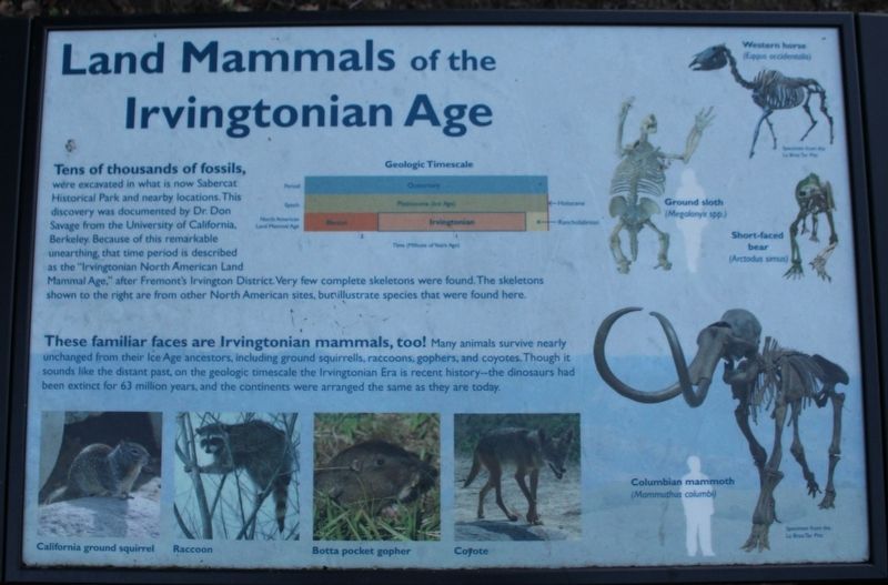 Land Mammals of the Irvingtonian Age Marker image. Click for full size.