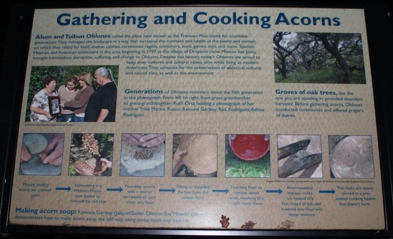 Gathering and Cooking Acorns Marker. Click for full size. Gathering and Cooking Acorns Marker image. Click for full size.