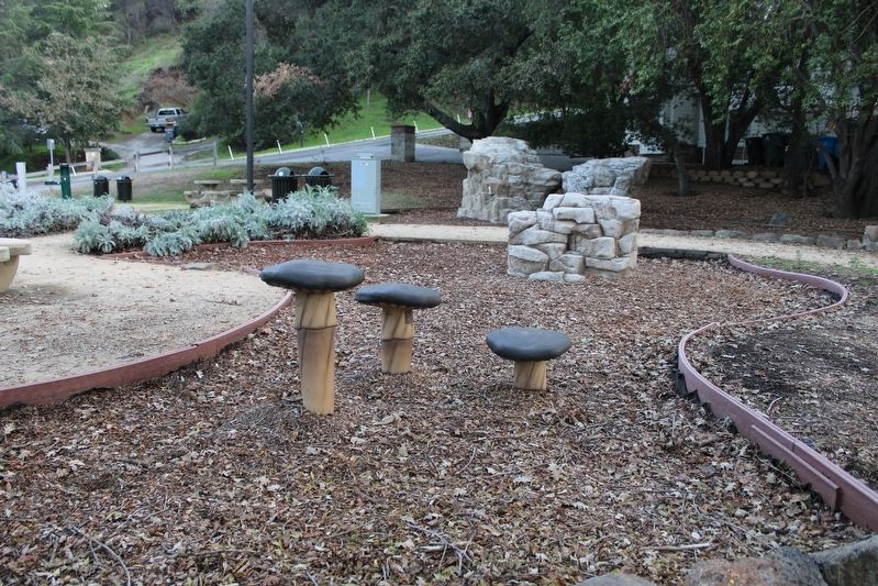 Mushroom Stools in the Park image. Click for full size.