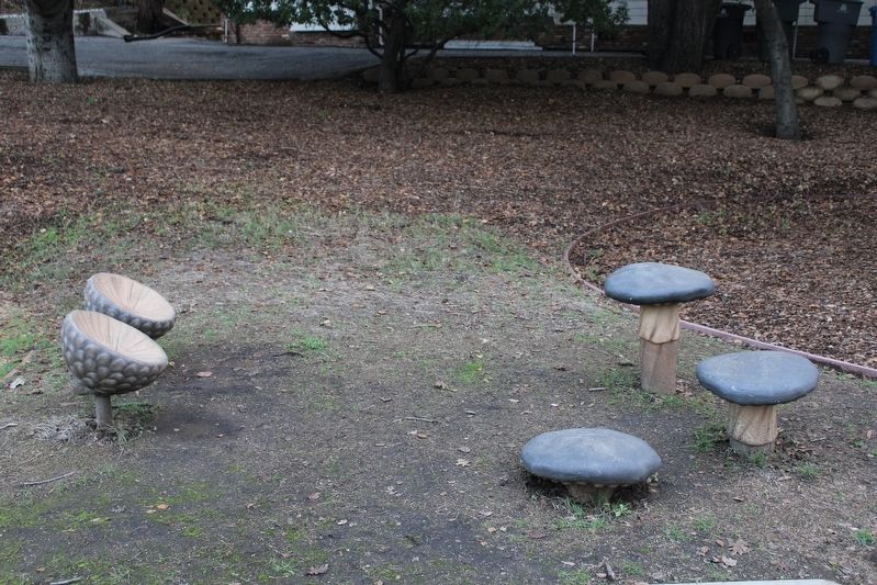 Acorn and Mushroom Stools in the Park image. Click for full size.