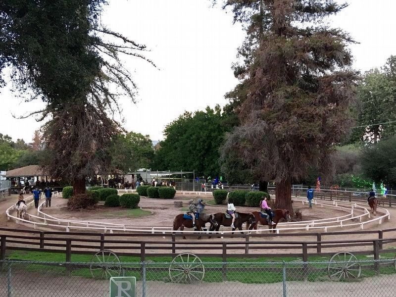 Griffith Park Pony Rides image. Click for full size.