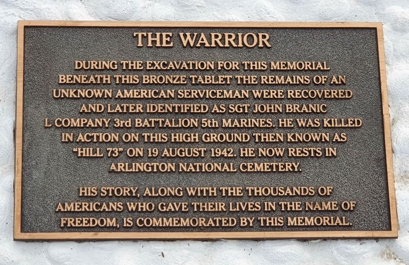 The Warrior Marker image. Click for full size.