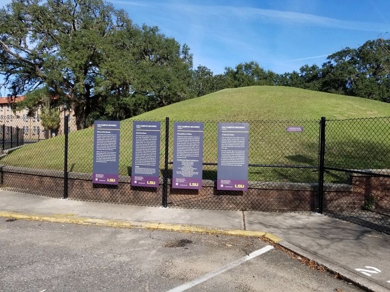 LSU Campus Mounds Marker. Click for full size. LSU Campus Mounds Marker image. Click for full size.