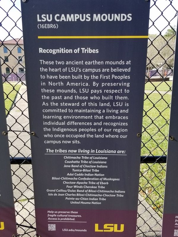 LSU Campus Mounds Marker. Click for full size. LSU Campus Mounds Marker image. Click for full size.