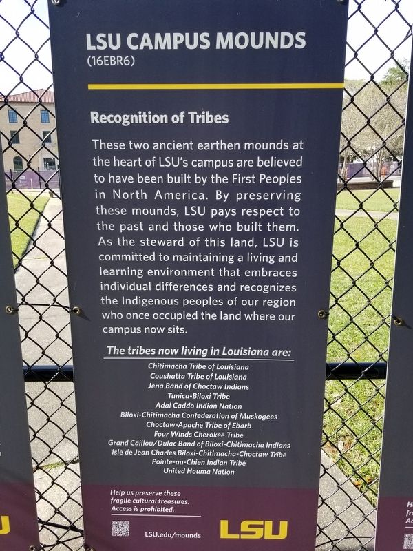 LSU Campus Mounds Marker image. Click for full size.