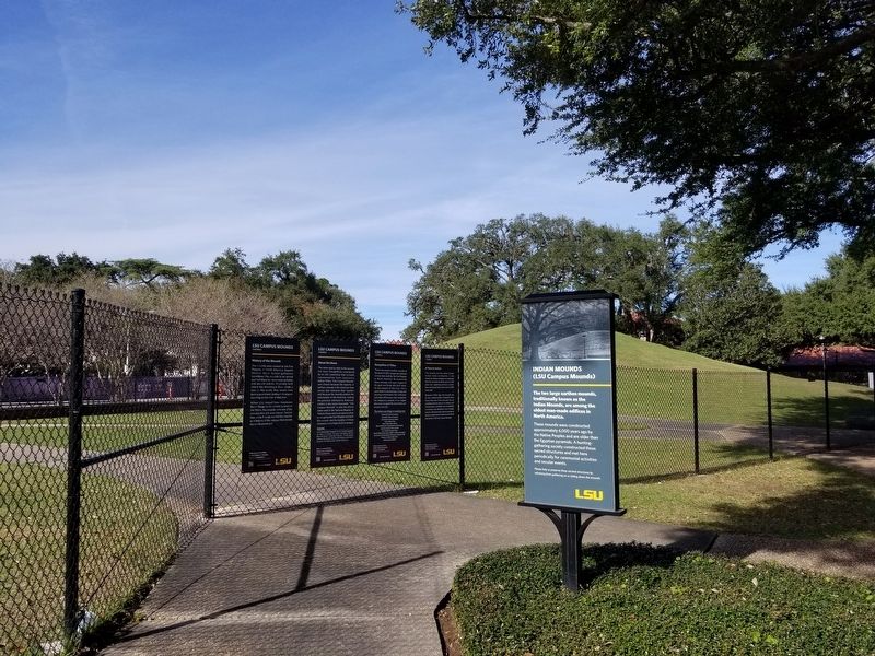 LSU Campus Mounds Marker. Click for full size. LSU Campus Mounds Marker image. Click for full size.