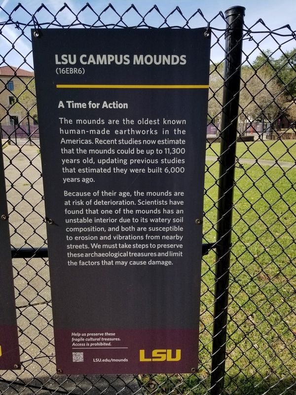 LSU Campus Mounds Marker. Click for full size. LSU Campus Mounds Marker image. Click for full size.