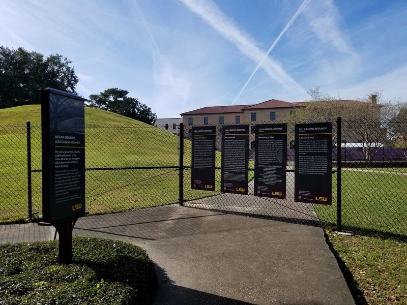 LSU Campus Mounds Marker. Click for full size. LSU Campus Mounds Marker image. Click for full size.