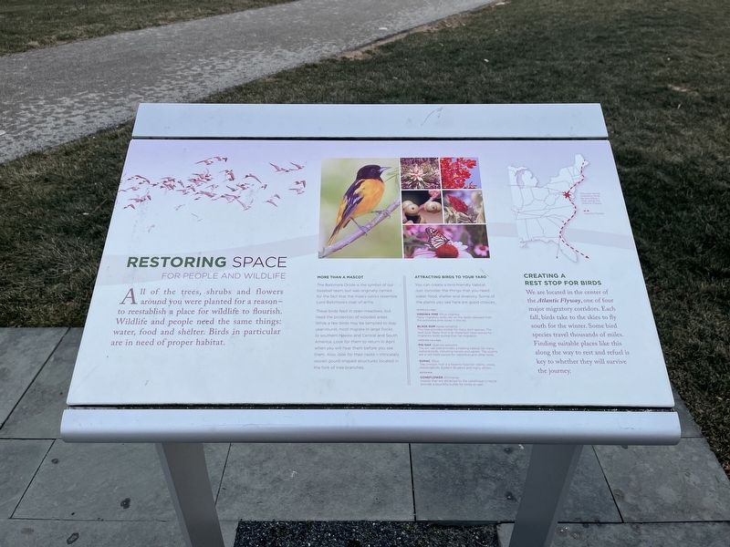 Restoring Space Marker. Click for full size. Restoring Space Marker image. Click for full size.