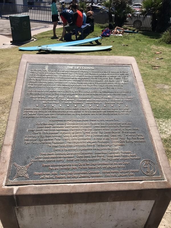 The Lifeguard Marker image. Click for full size.