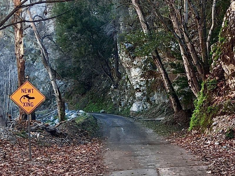 West Fork Trail image. Click for full size.
