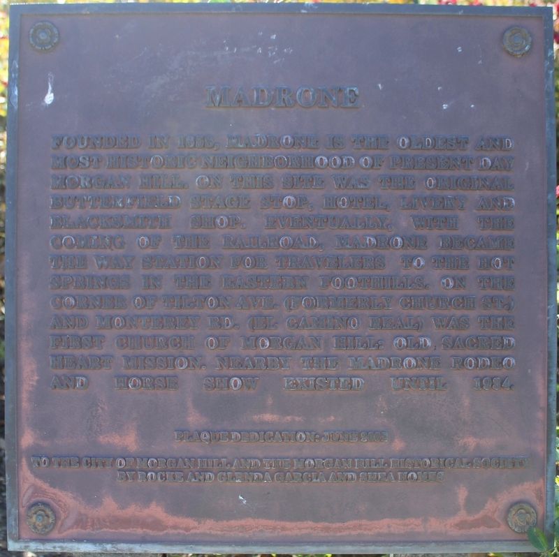 Madrone Marker. Click for full size. Madrone Marker image. Click for full size.