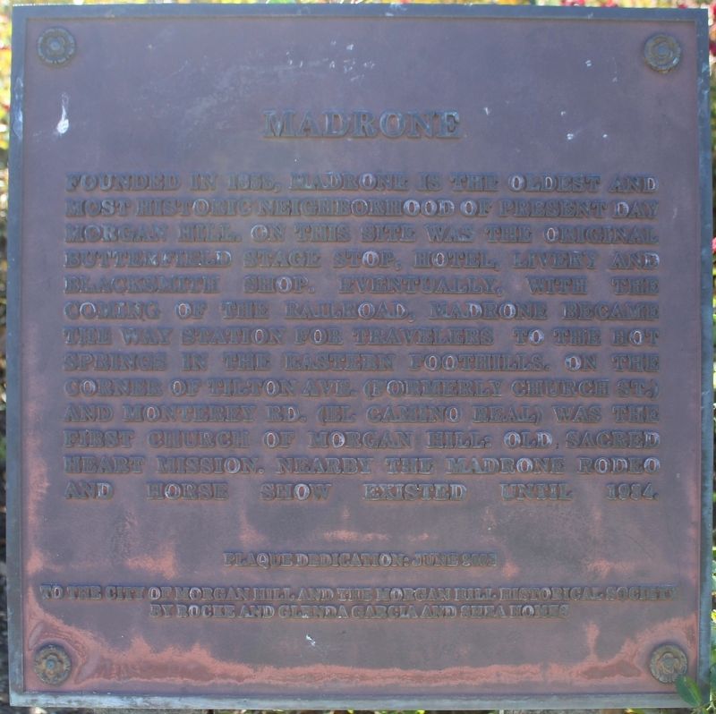 Madrone Marker image. Click for full size.