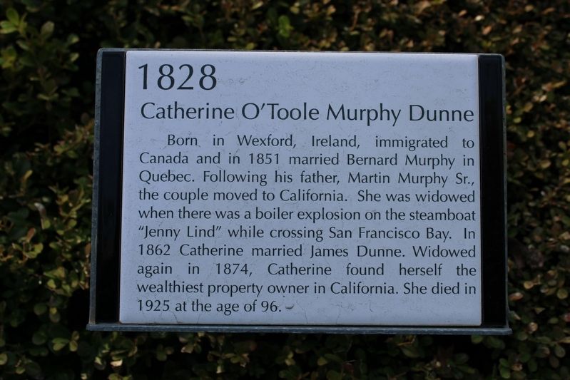 Catherine OToole Murphy Dunne Marker image. Click for full size.