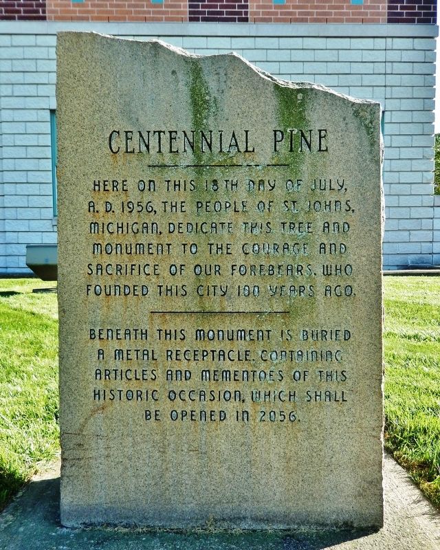 Centennial Pine Marker. Click for full size. Centennial Pine Marker image. Click for full size.