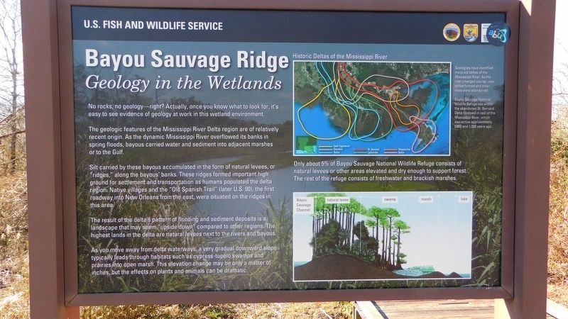 Bayou Sauvage Ridge Marker. Click for full size. Bayou Sauvage Ridge Marker image. Click for full size.