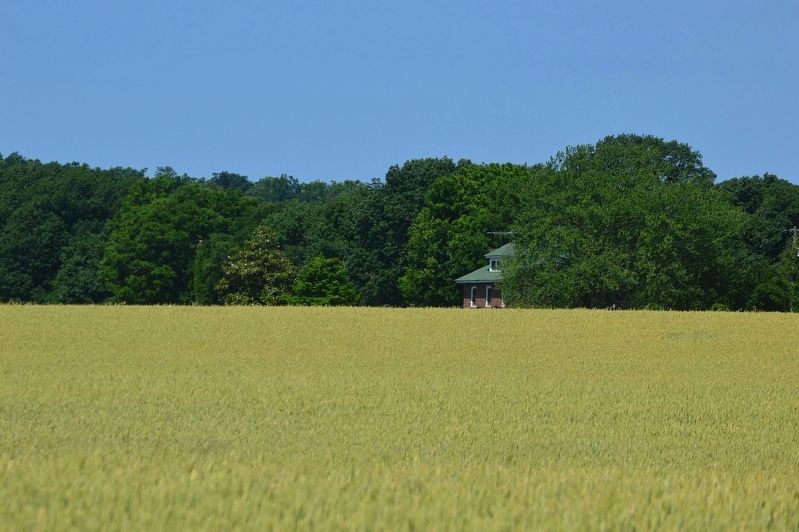 The fields of Hazelwood. Click for full size. The fields of Hazelwood image. Click for full size.