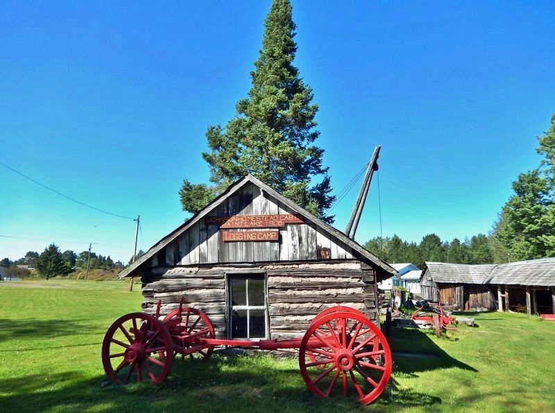 Johnson Homestead Cabin, Paint Lake 1906 image. Click for full size.