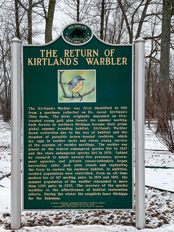 The Return of Kirtland's Warbler Marker. Click for full size. The Return of Kirtland's Warbler Marker image. Click for full size.