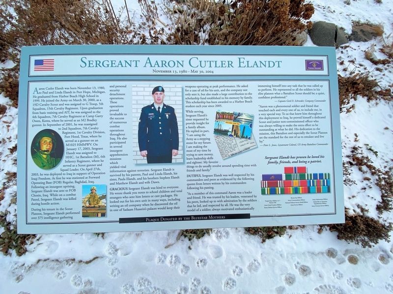 Sergeant Aaron Cutler Elandt Marker image. Click for full size.