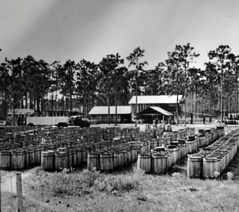 Marker detail: Turpentine Barrels and Camp image. Click for full size.