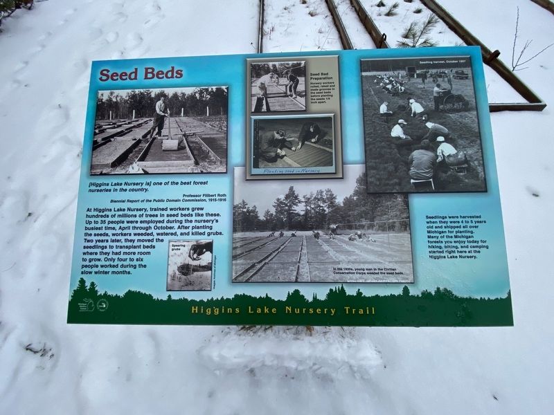 Seed Beds Marker image. Click for full size.