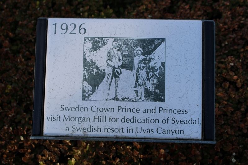 Sweden Crown Prince and Princess Marker image. Click for full size.