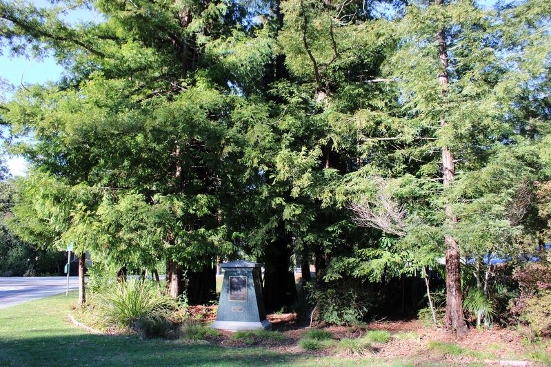 Ross War Memorial. Click for full size. Ross War Memorial image. Click for full size.