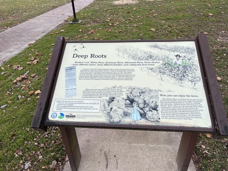 Deep Roots Marker image. Click for full size.