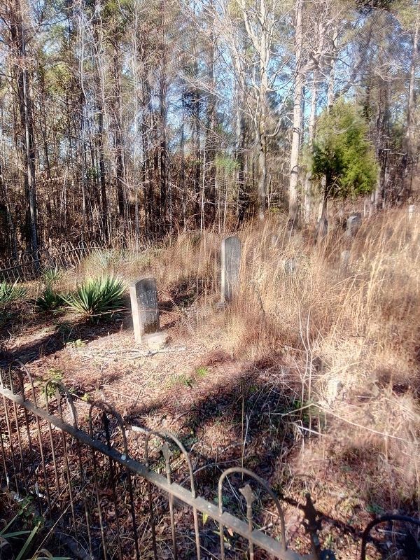Samuel Sellers Cemetery image. Click for full size.
