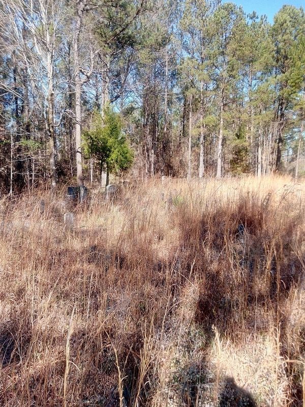 Samuel Sellers Cemetery image. Click for full size.