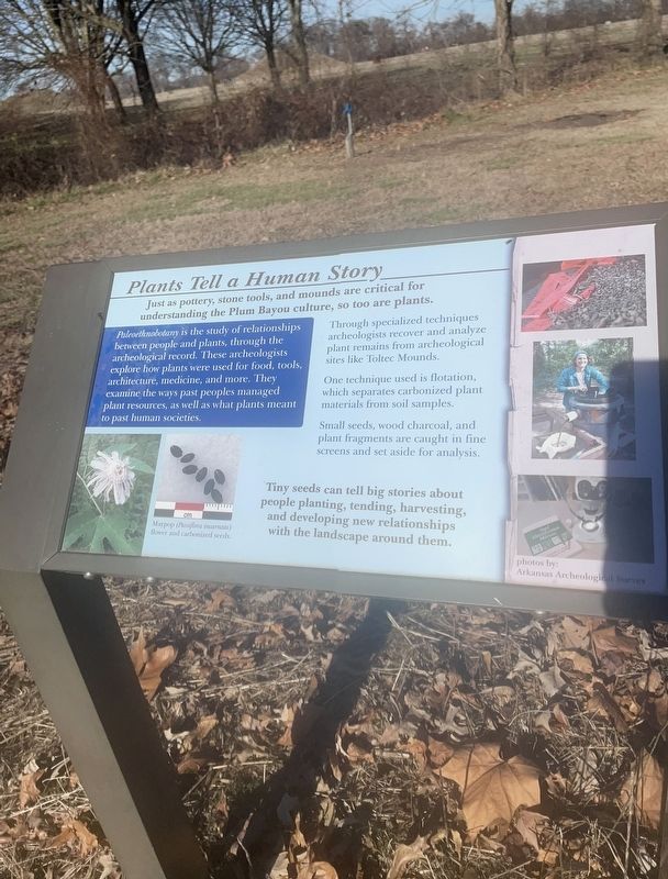 Plants Tell a Human Story Marker. Click for full size. Plants Tell a Human Story Marker image. Click for full size.