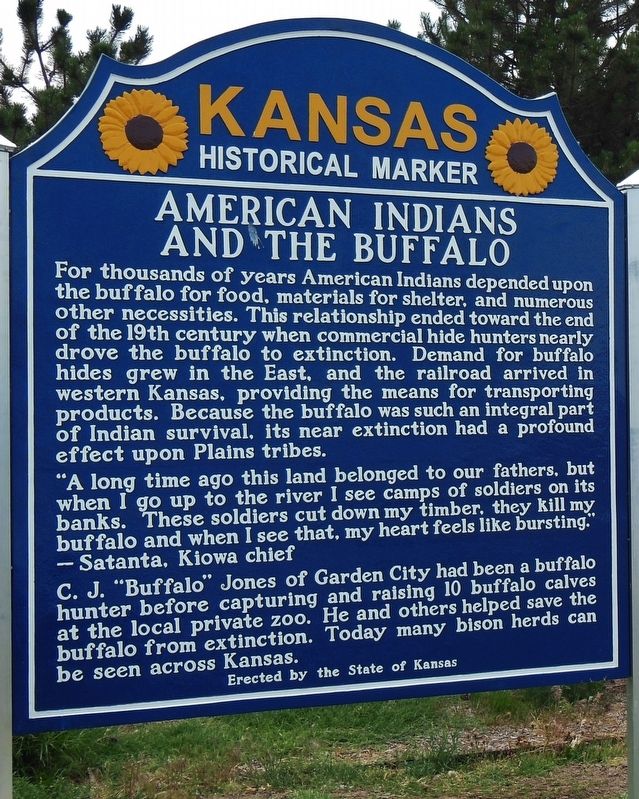 American Indians and the Buffalo Marker image. Click for full size.