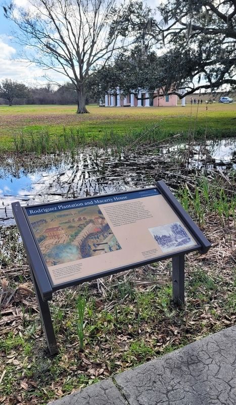 Rodriguez Plantation and Macarty House Marker image. Click for full size.