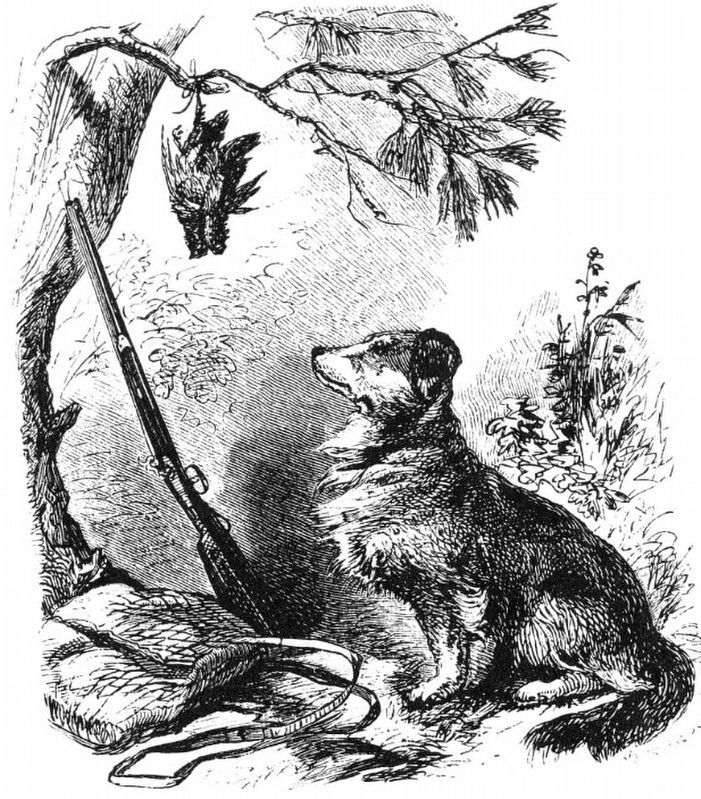 Artist Depiction of Frontiersmans Hunting Dog image. Click for full size.