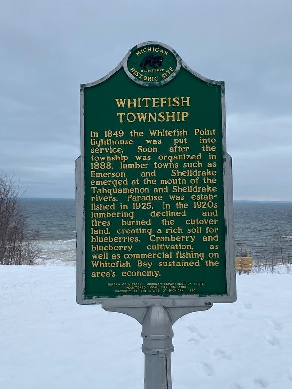 Whitefish Township Marker image. Click for full size.