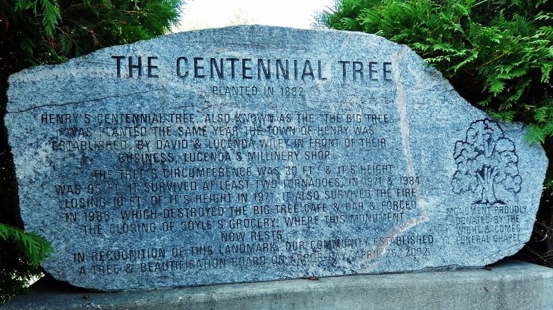 The Centennial Tree Marker image. Click for full size.