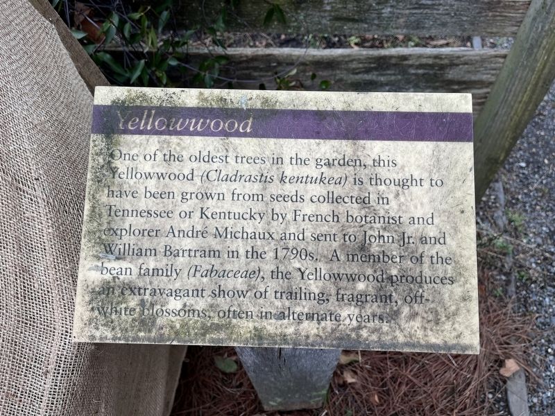 Yellowwood Marker image. Click for full size.
