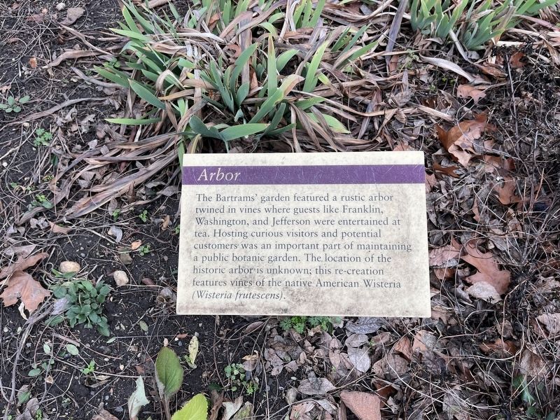 Arbor Marker image. Click for full size.