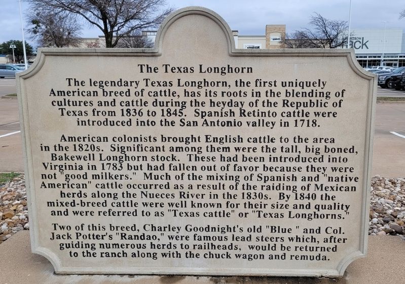 The Texas Longhorn Marker image. Click for full size.