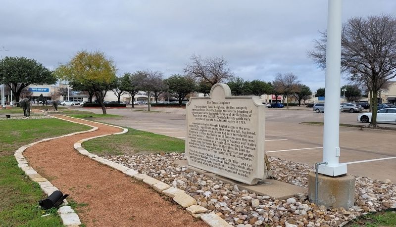 The Texas Longhorn Marker image. Click for full size.